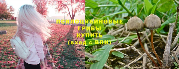 винт Бородино